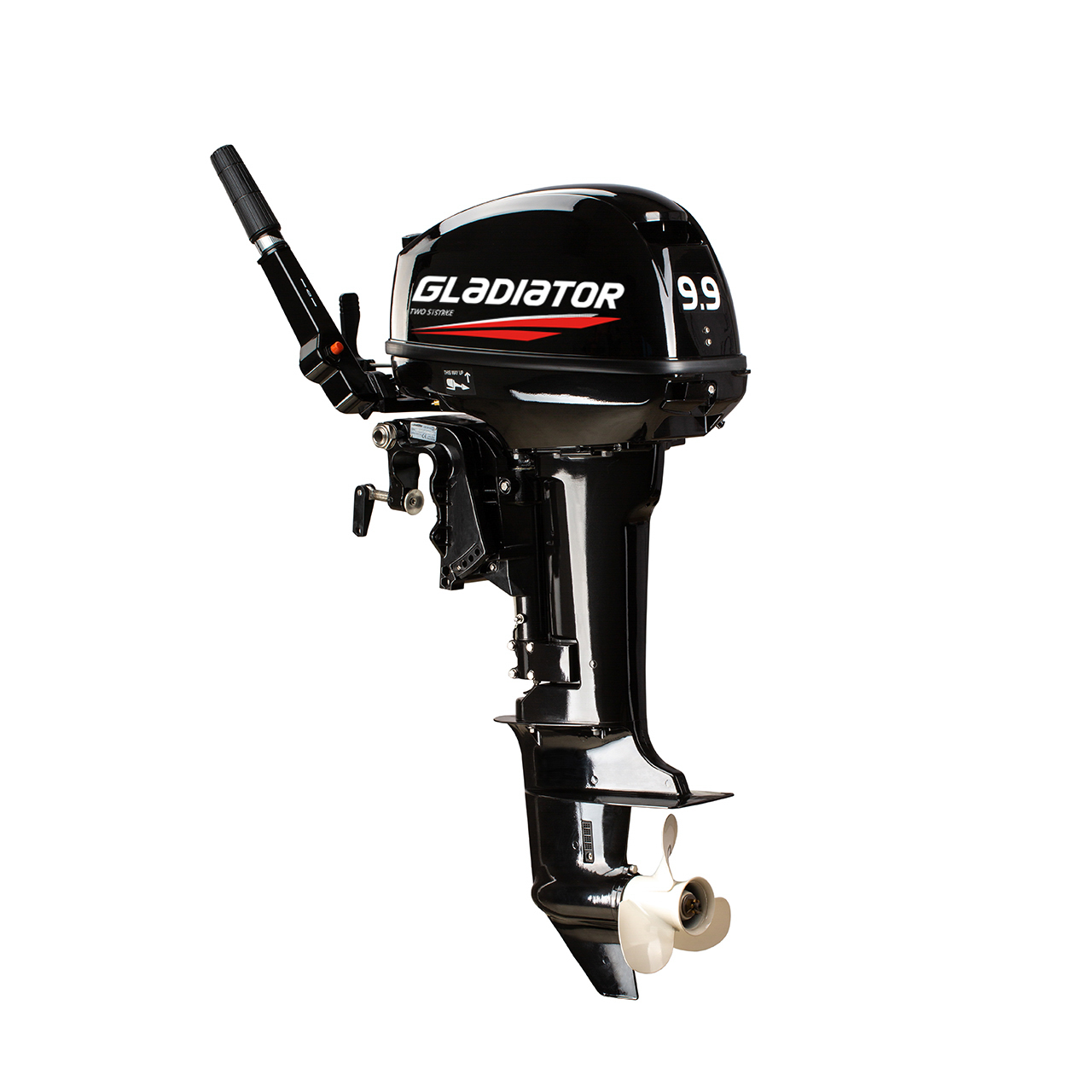 ЛОДОЧНЫЙ МОТОР GLADIATOR G9.9FHS в Реутове