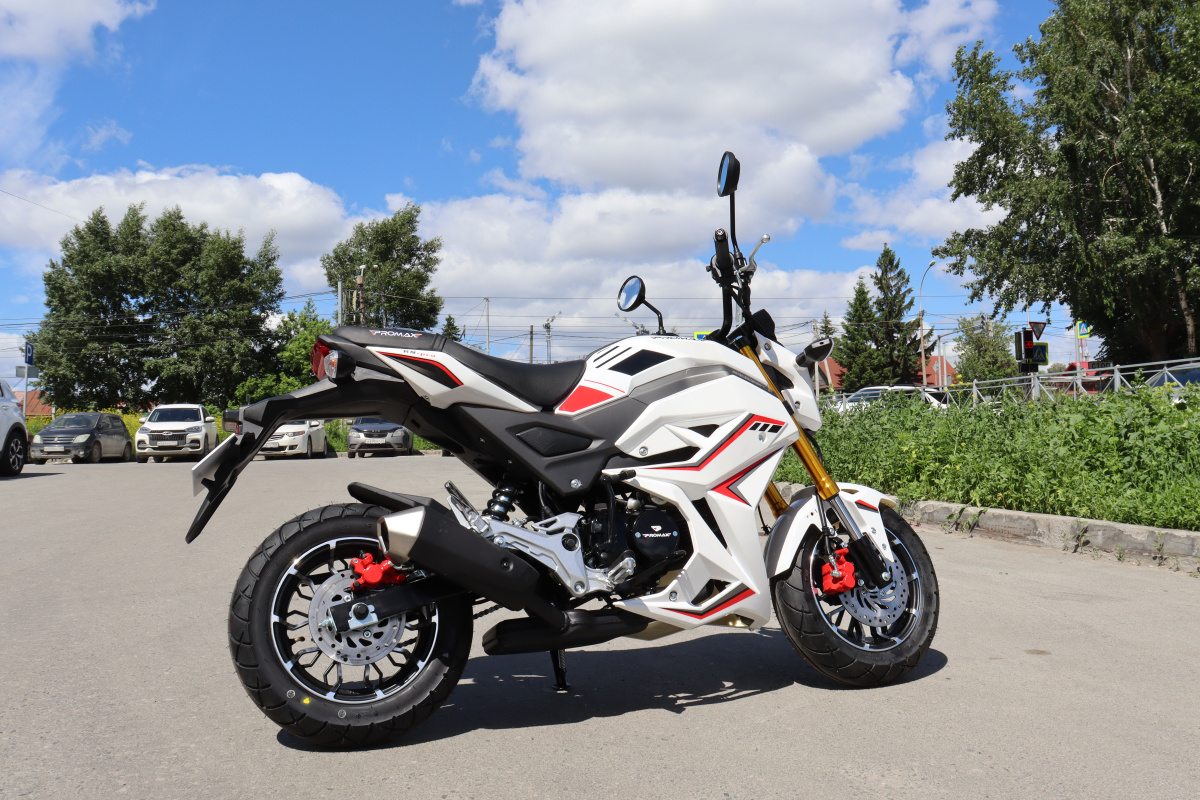 Мотоцикл PROMAX STRYKER 200(49) 2.0 в Реутове