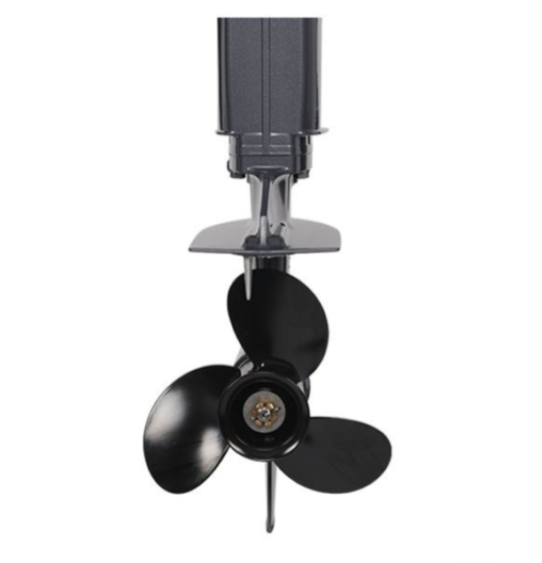 Лодочный мотор ALLFA CG Т40FW S в Реутове