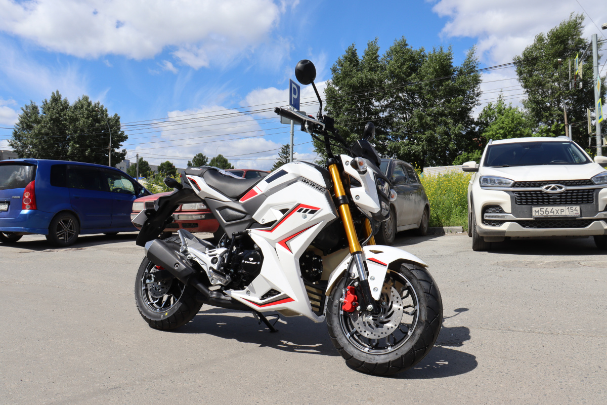 Мотоцикл PROMAX STRYKER 200(49) 2.0 в Реутове