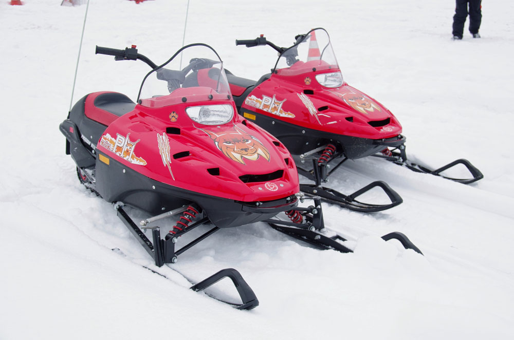 Снегоход РМ ТАЙГА РЫСЬ в Реутове