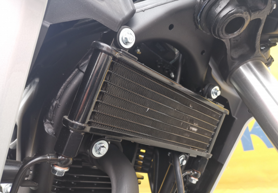 Мотоцикл MOTOLAND (МОТОЛЕНД) 250 CB250 (172FMM-5/PR250) (2022 г.) в Реутове