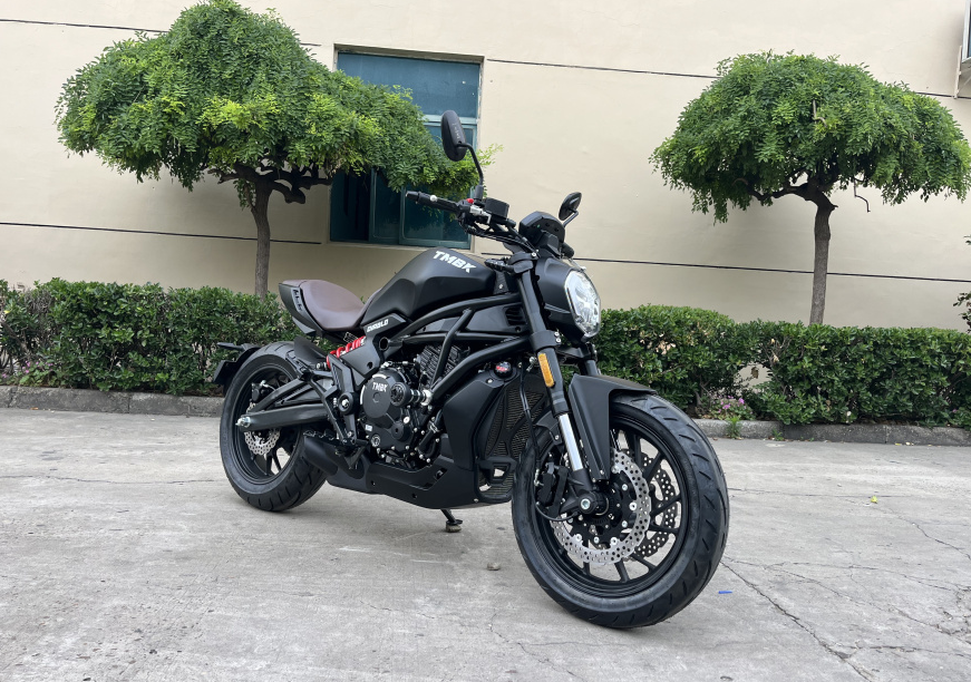 Мотоцикл TMBK Diablo 650cc EFI, ABS в Реутове