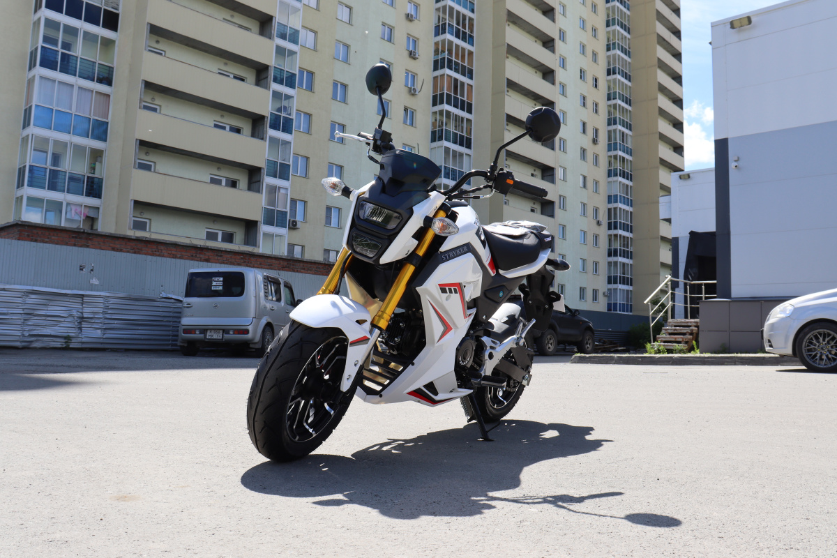 Мотоцикл PROMAX STRYKER 200(49) 2.0 в Реутове