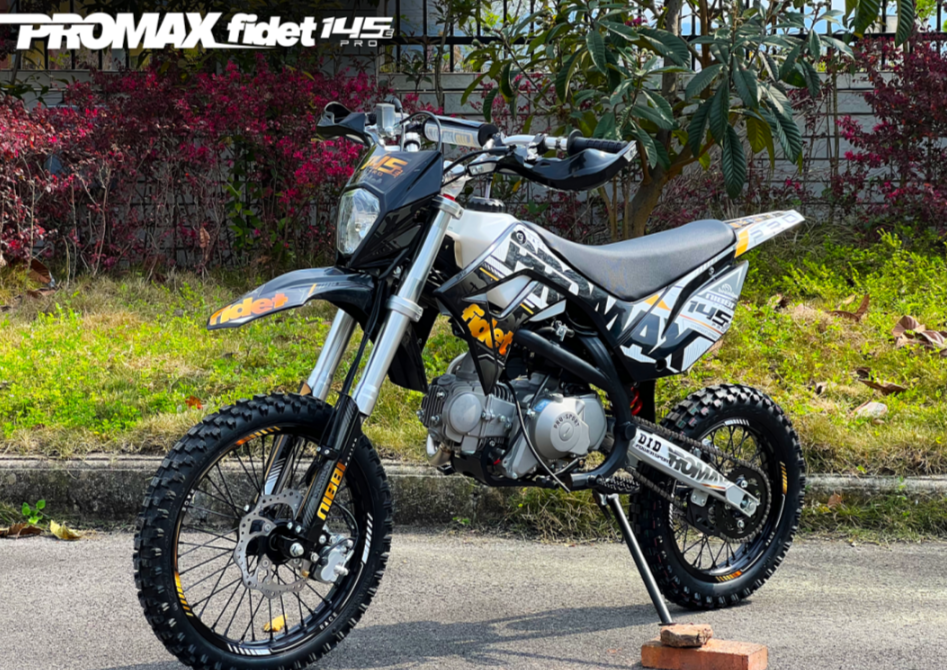 Мотоцикл (питбайк) PROMAX FIDET (ФАЙДЕТ) 145E PRO 17/14 в Реутове
