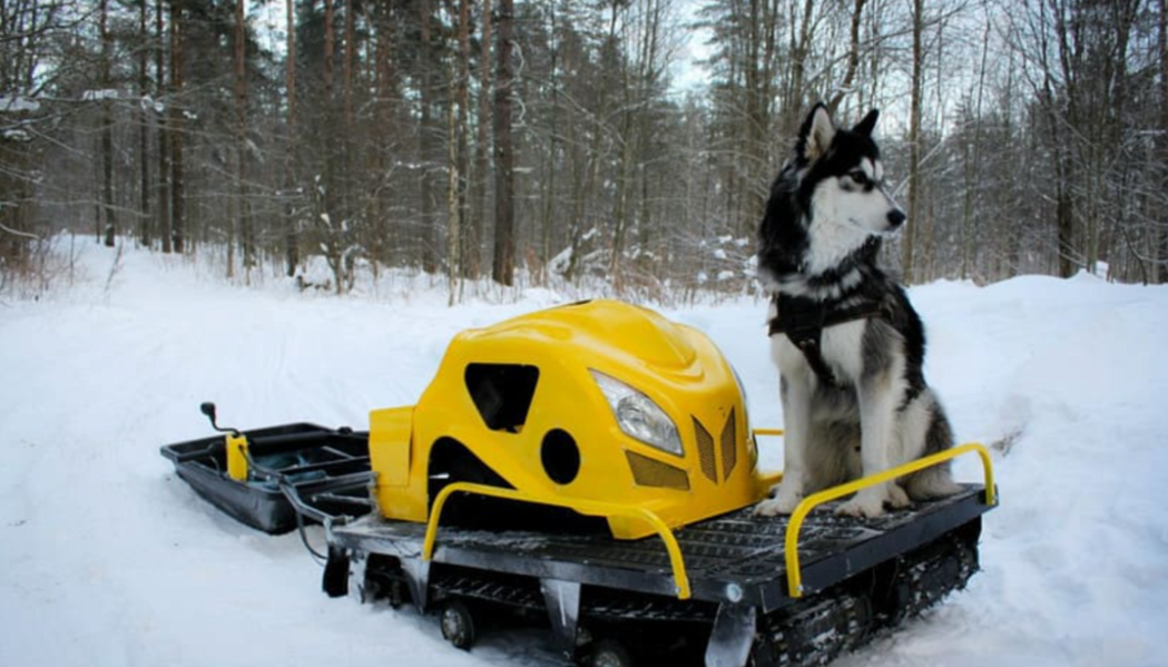Мотобуксировщик LEBEDEV MOTORS ВОЛКОДАВ POWER V13 в Реутове