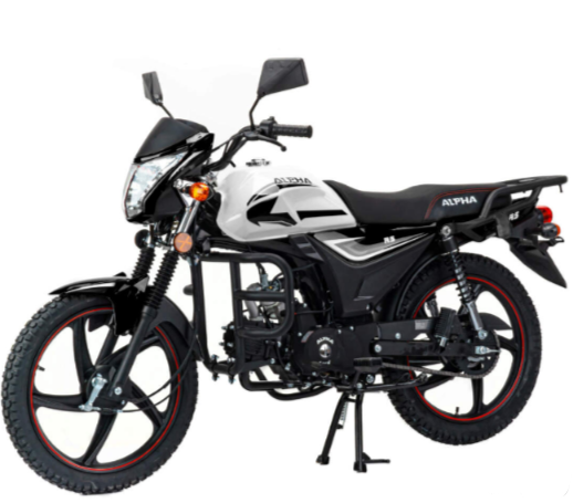 Мопед MOTOLAND (МОТОЛЕНД) Альфа RS 11 (LM48-B) в Реутове