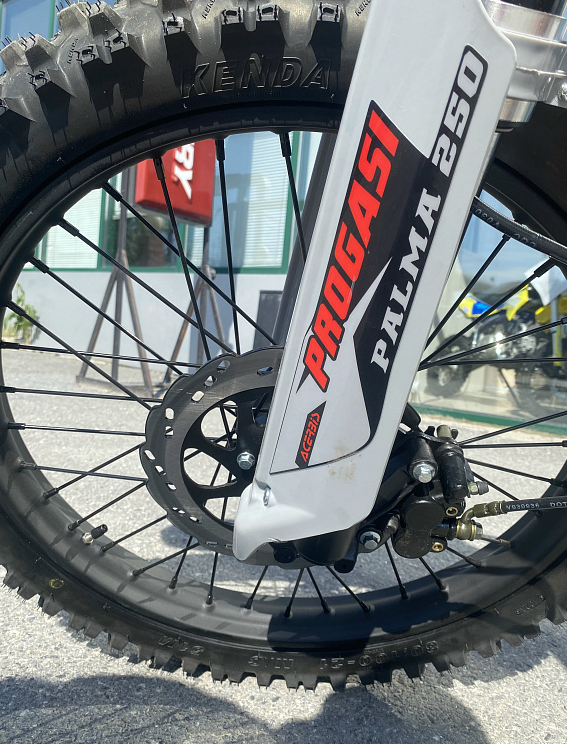 Мотоцикл Progasi PALMA 300 NEW (CB300F) в Реутове