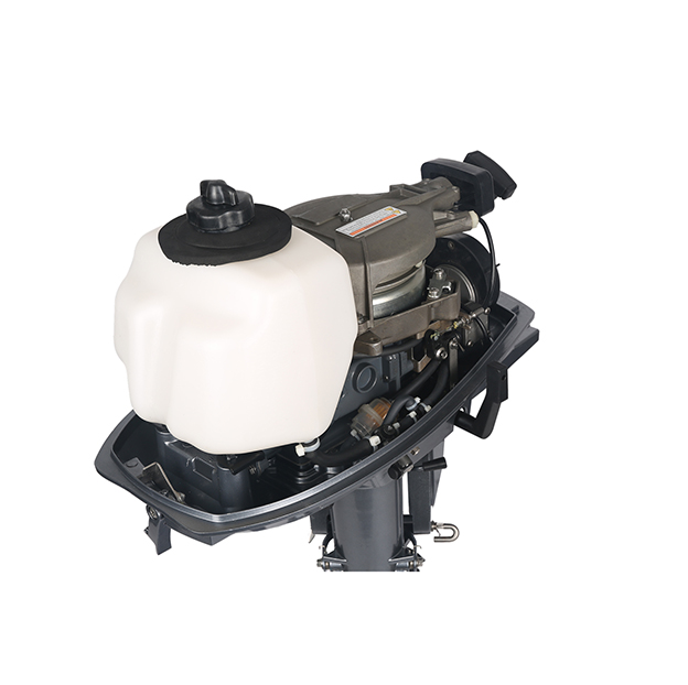 ЛОДОЧНЫЙ МОТОР ALLFA CG T5 в Реутове