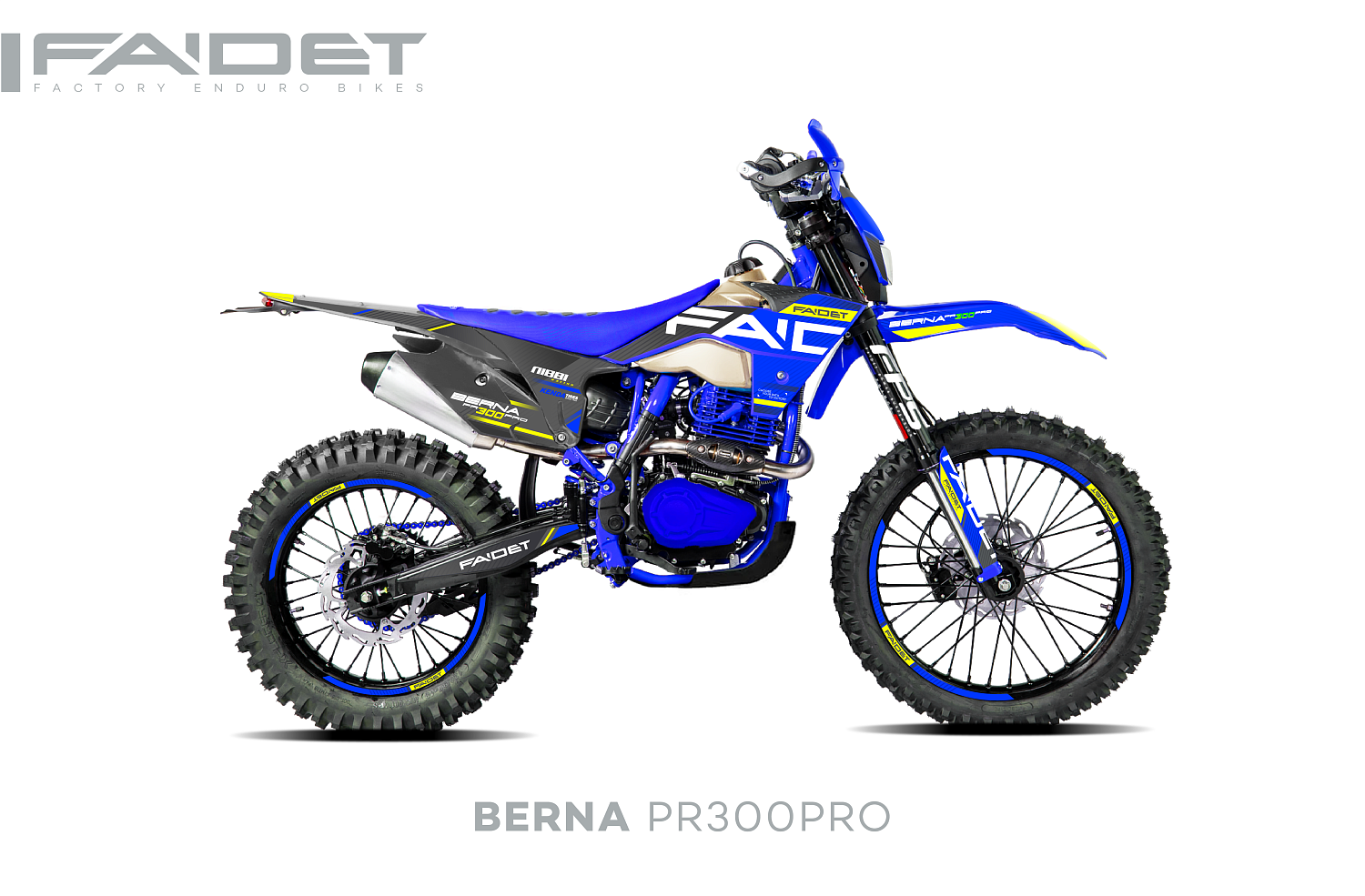 Кроссовый мотоцикл FAIDET BERNA PR300-PRO FPS в Реутове