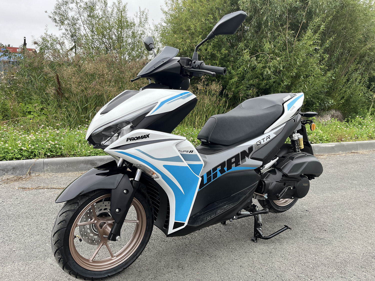 Скутер PROMAX TURAN 250 (49) в Реутове